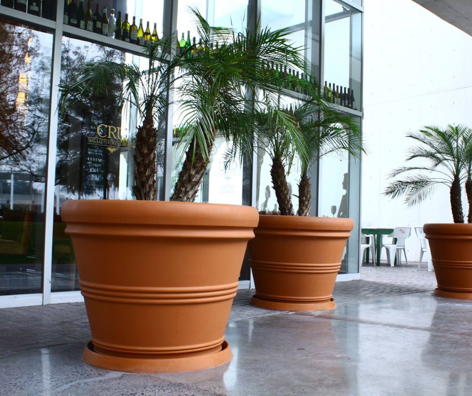 ¿Por Qué Elegir Macetas de Plástico?