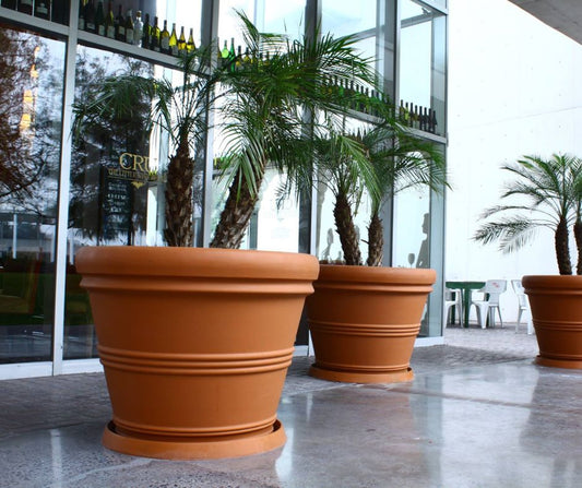 ¿Por Qué Elegir Macetas de Plástico?