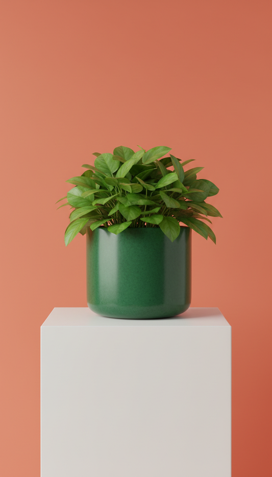 Maceta cilindro jade verdoso